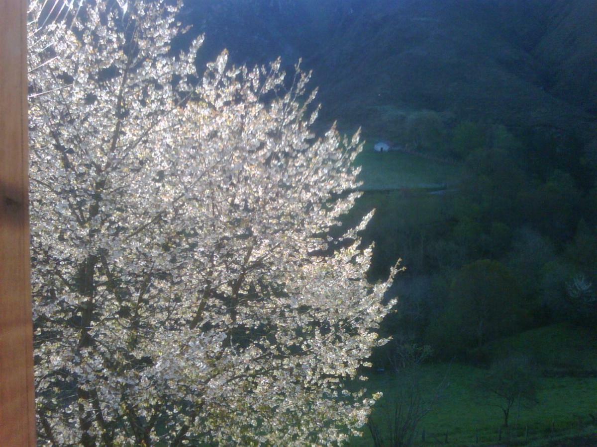 Origenes Villa Sevares Dış mekan fotoğraf